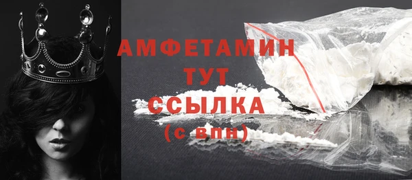 гидра Каменка