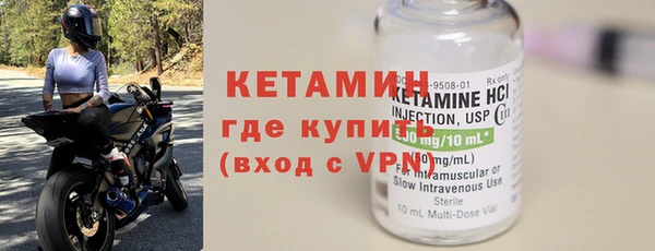 гидра Каменка
