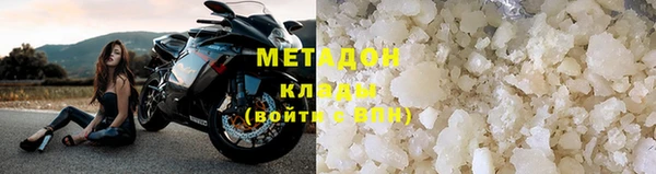 гидра Каменка