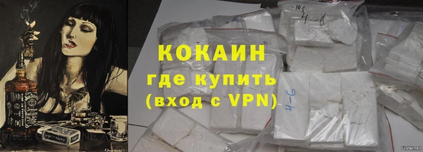 гидра Каменка