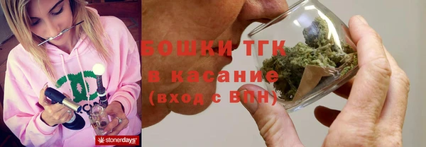 гидра Каменка