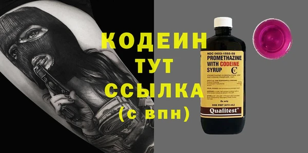 гидра Каменка
