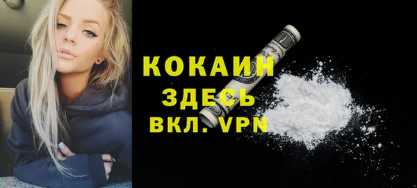 гидра Каменка