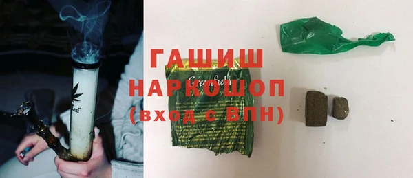 гидра Каменка