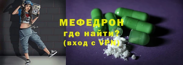 гидра Каменка