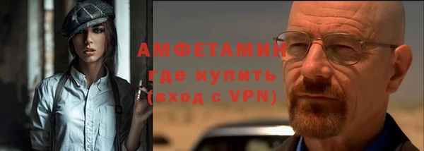гидра Каменка
