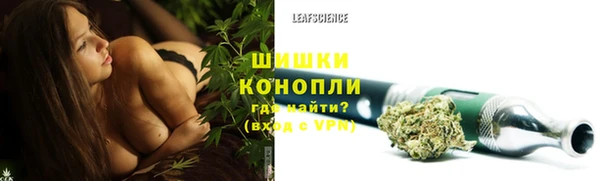 гидра Каменка