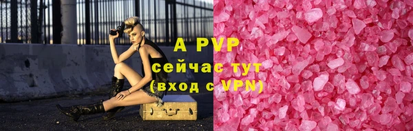 гидра Каменка