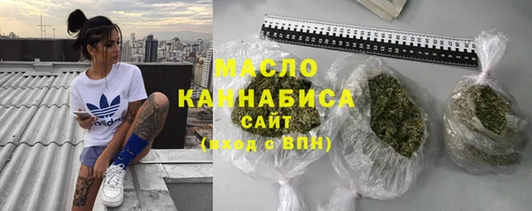 гидра Каменка