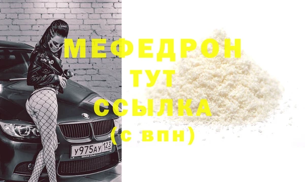 гидра Каменка