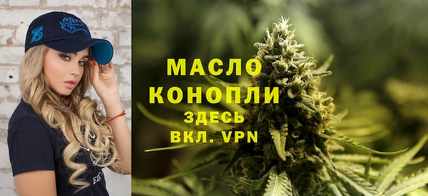 гидра Каменка