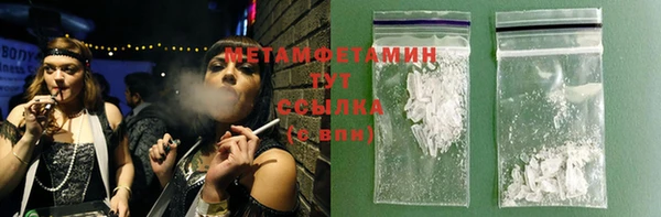 гидра Каменка