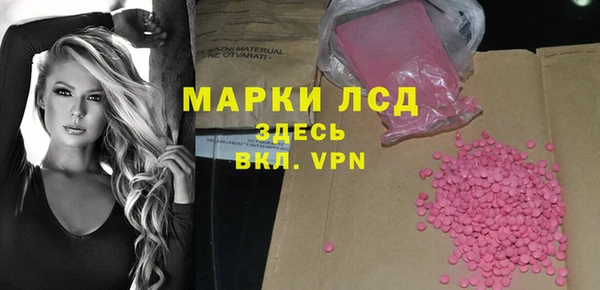 гидра Каменка
