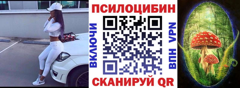 Псилоцибиновые грибы прущие грибы  Купить  Яблоновский 